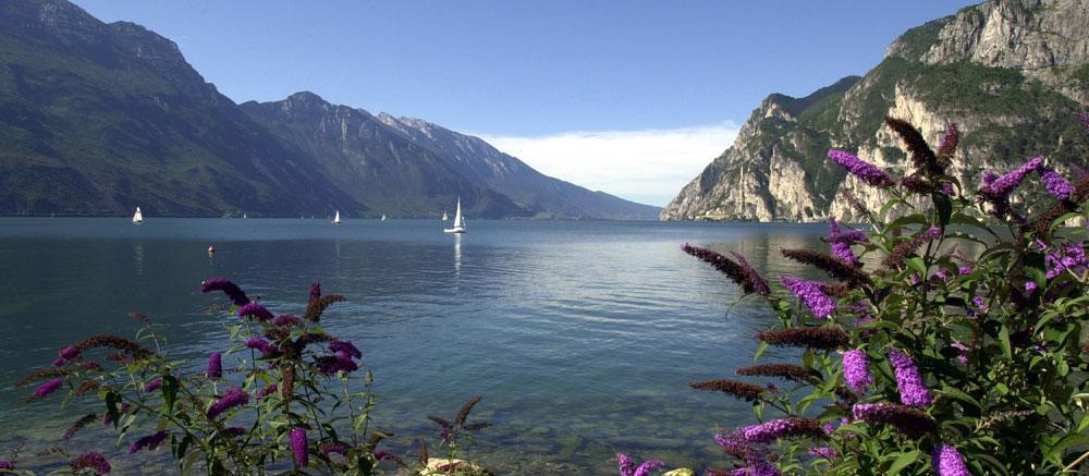 Villa Linfano Torbole Sul Garda Exteriör bild